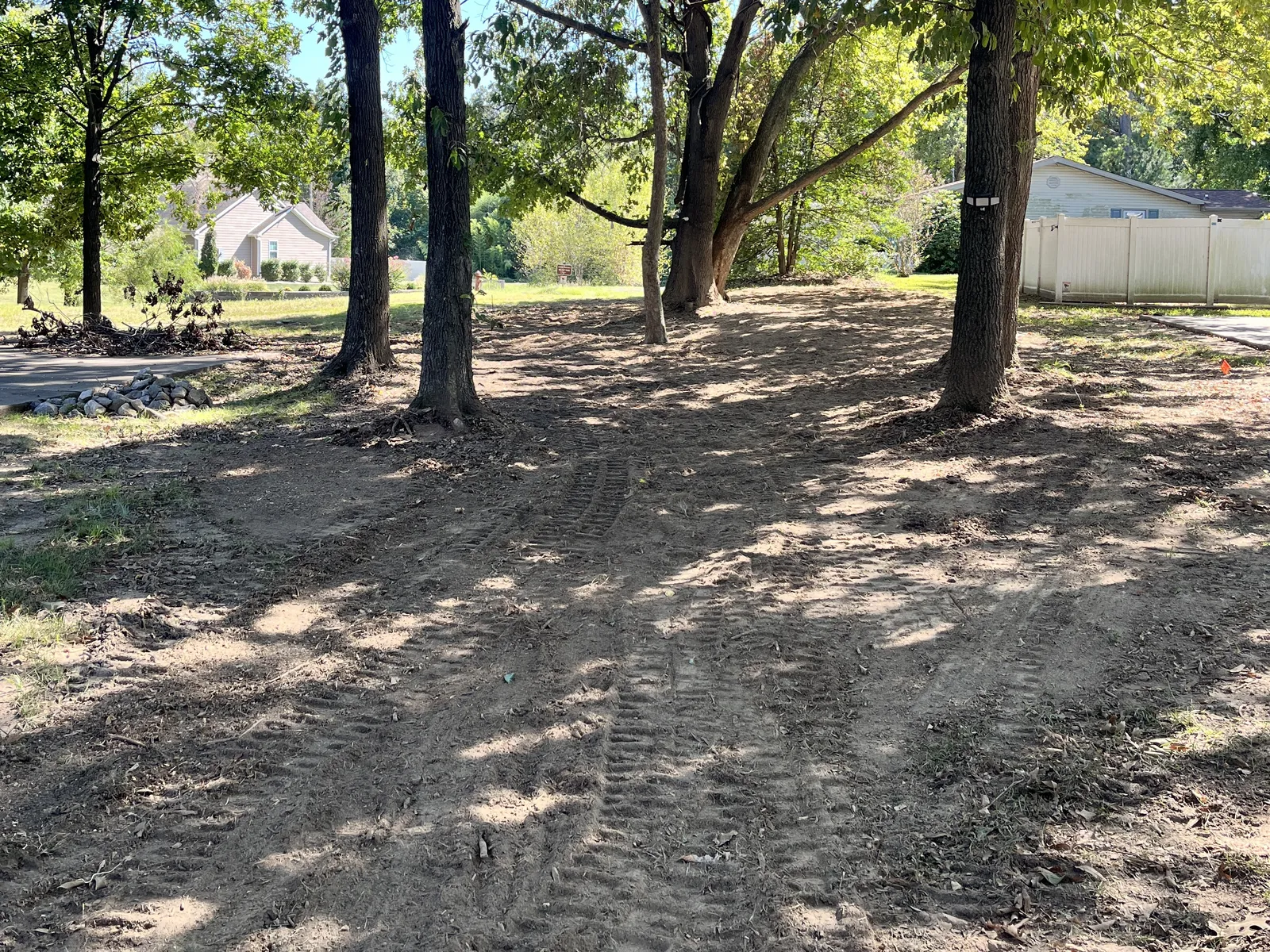 After: the same lot edge cleared, brush gone and the trees still standing