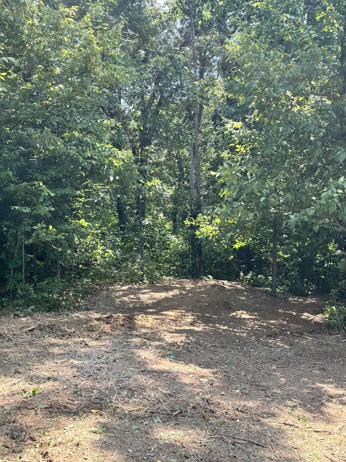 Hunting Property in Cobden, IL