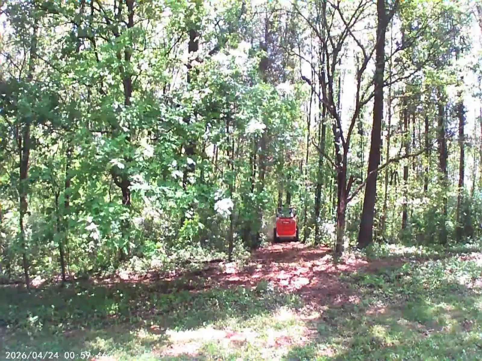 Trail Cutting in Cobden, IL