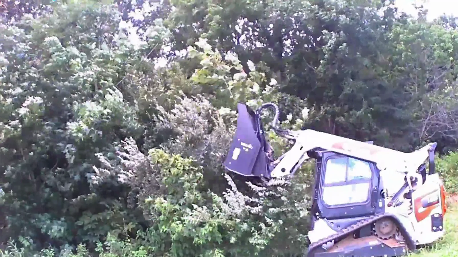 Land Clearing in Carrier Mills, IL