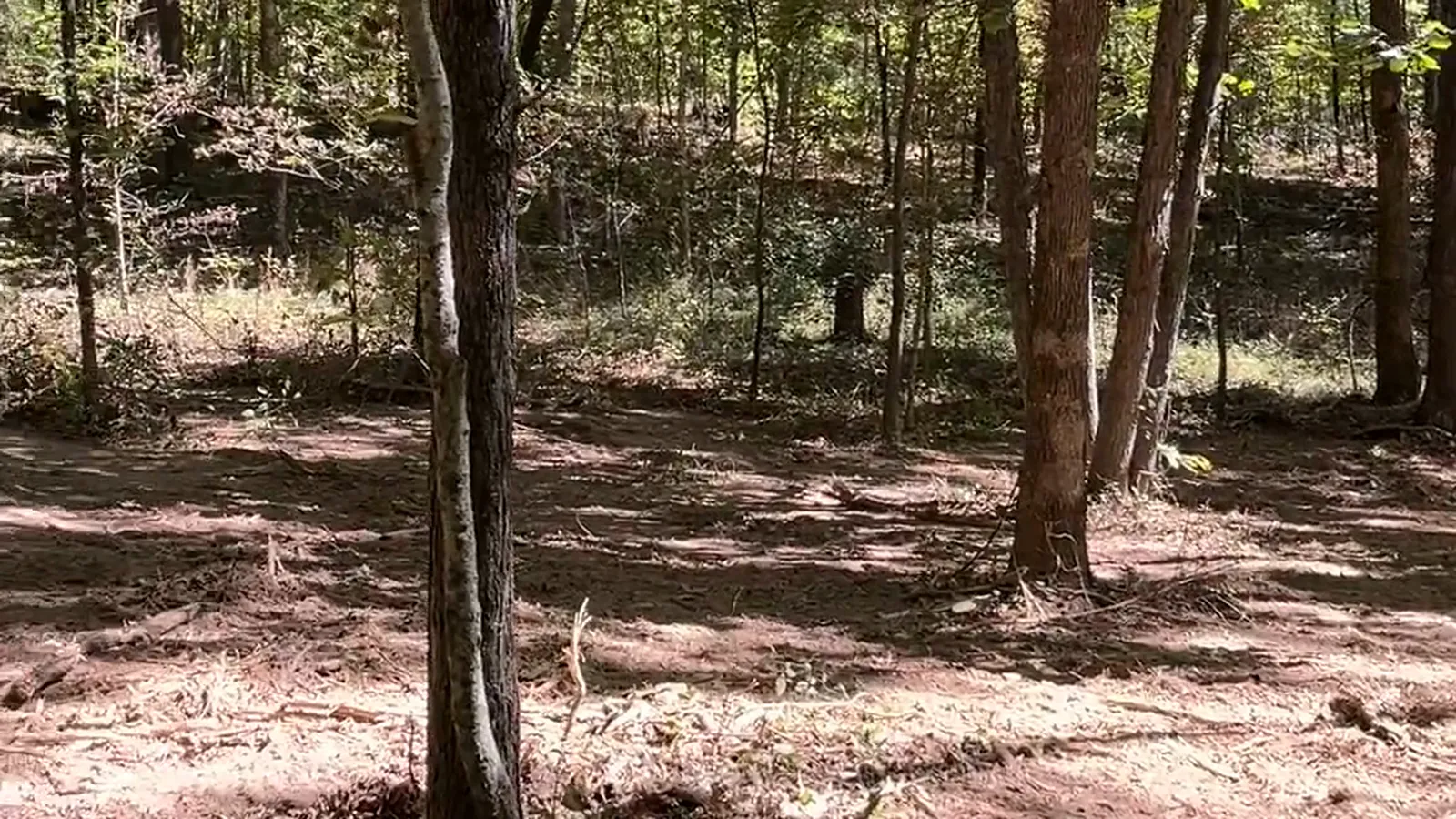Land Clearing in Elkville, IL
