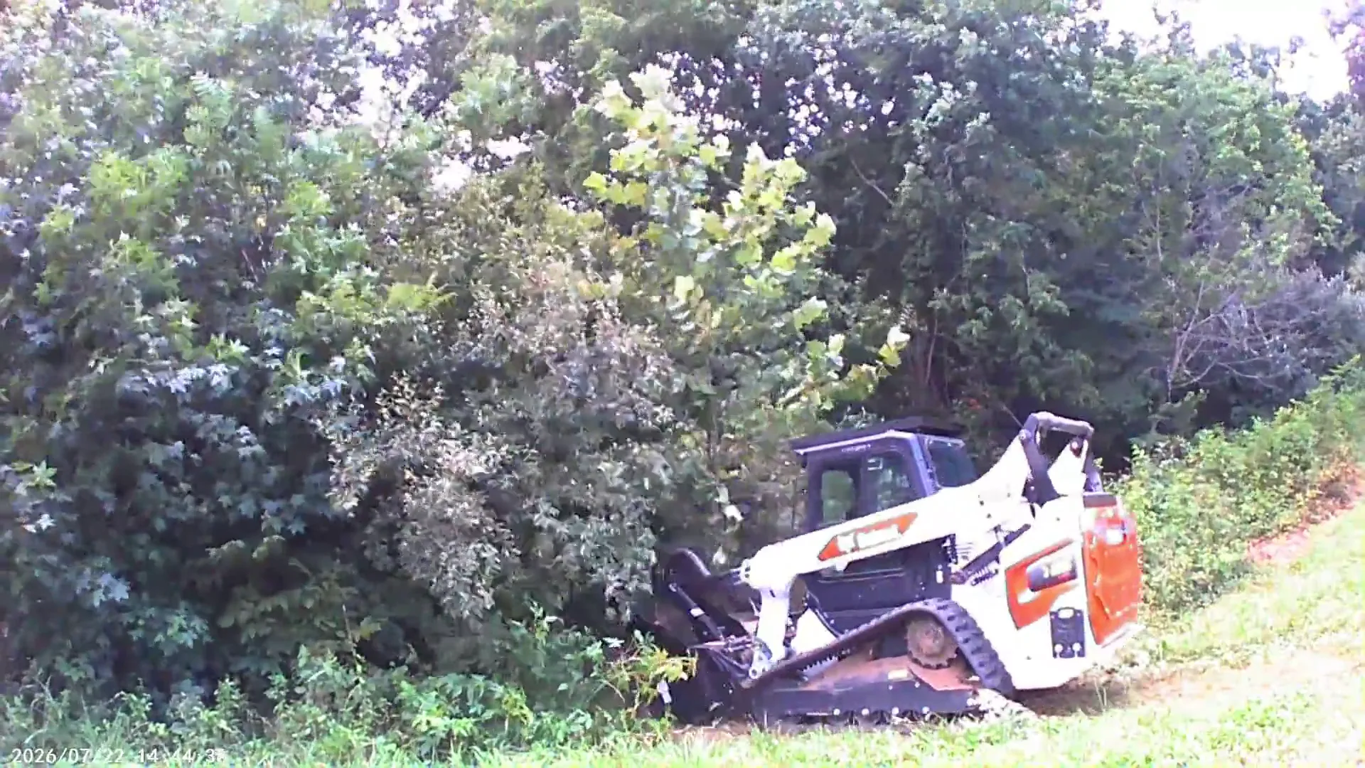 Land Clearing in Johnston City, IL